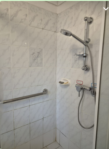Shower modification in Merrylands with stainless steel grab rail, Quoss easy-turn mixer and handheld shower set.